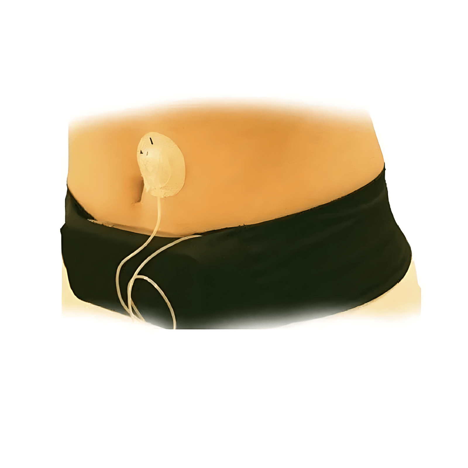 Medi - Belt® Pump Carrier - Medicool